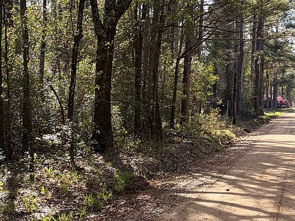 3rd image of LOT 4 Old Faceville Rd