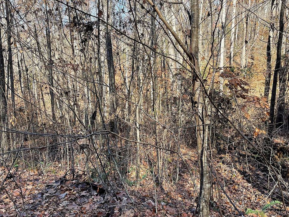1st image of 71J Ash Branch Dr