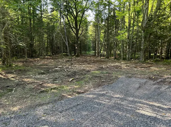 Xxxxx Sawgrass Rd, Cornucopia, WI 54827