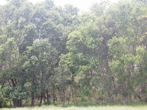 wooded areas