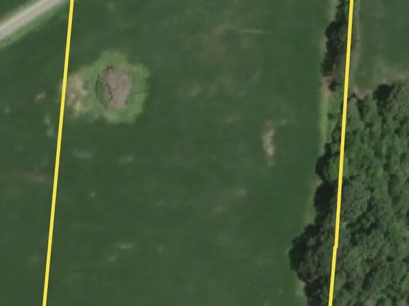 0 Newt Vanattia Rd Lot 12, Hillsboro, TN 37342