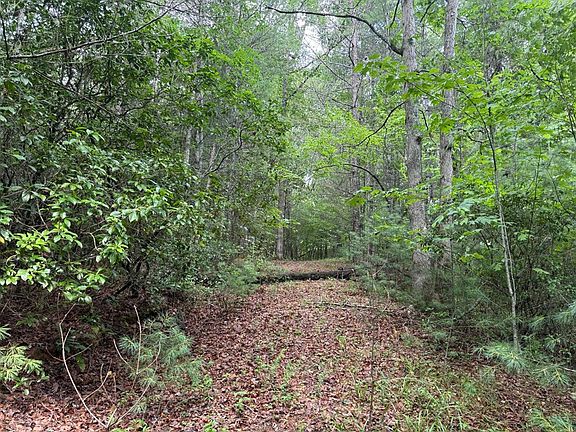 5th image of 0 Younce Creek Rd