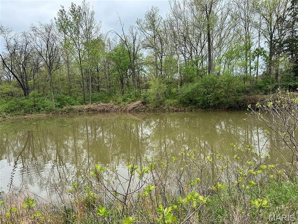 1st image of 16 Pine Forest Dr