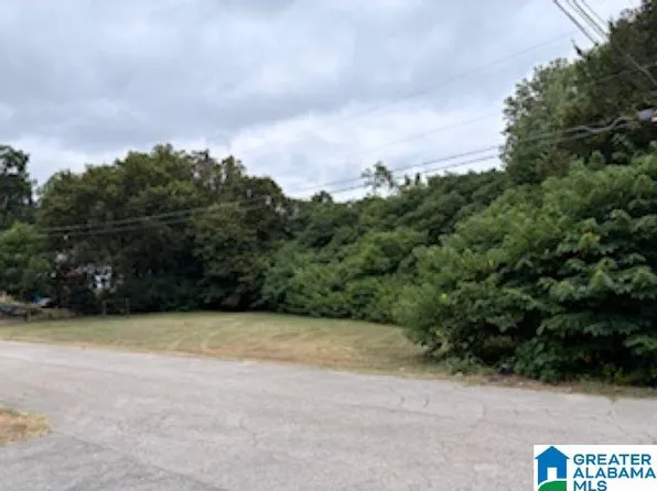 1120 E Norman St #0, Birmingham, AL 35217