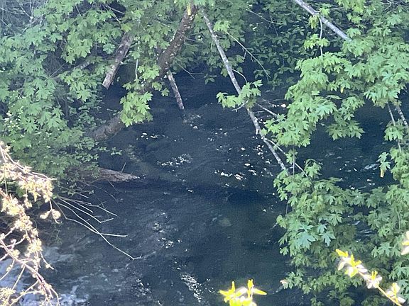 4th image of 1500&amp;1551 Reading Creek Rd.