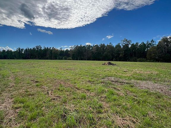 3rd image of 18 Blackbird Ln