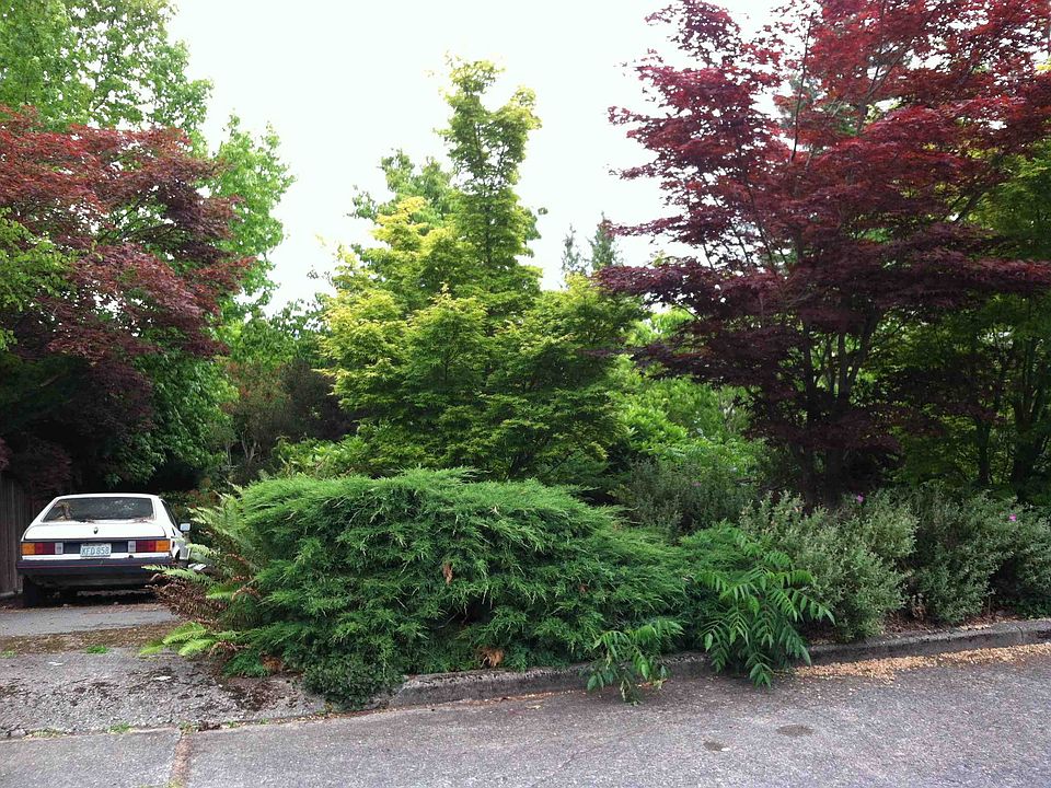 2nd image of 4532 55th Ave NE