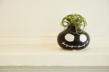 Rented by SPORN GROUP LLC