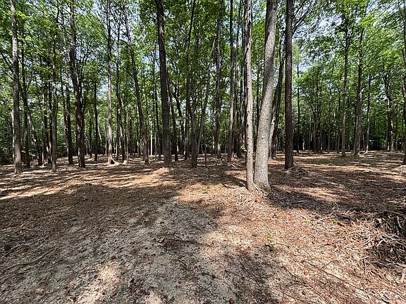 3rd image of 29 Harmony Hills Cir