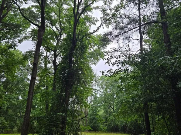 Cooper Rd, Eden, MD 21822