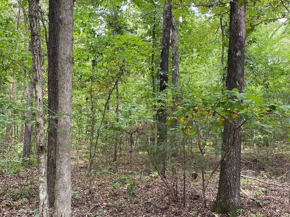 Persimmon Dr, Saluda, SC 29138