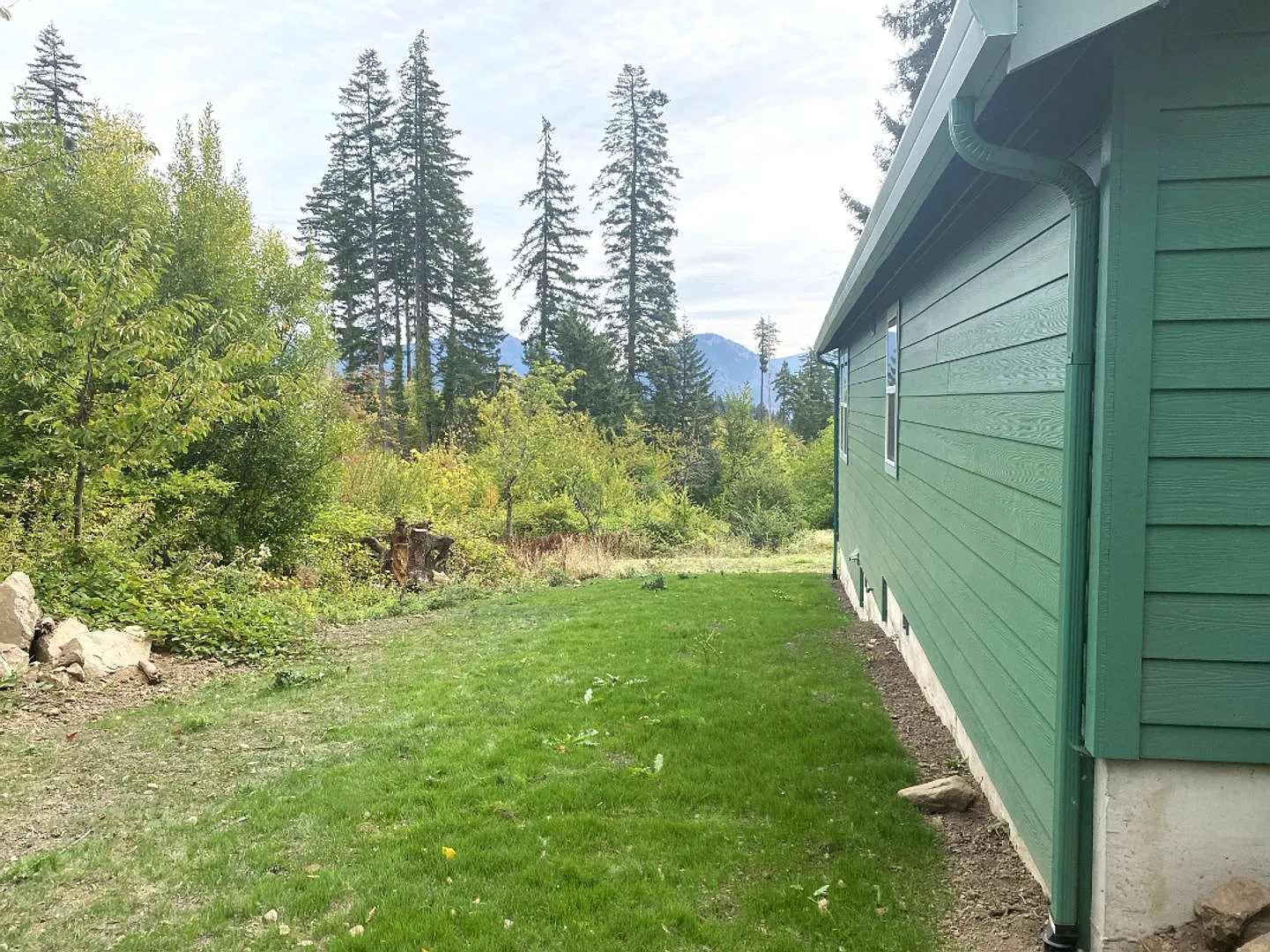 Brand New in the Woods in Carson — Photo 2