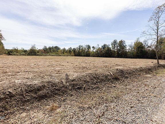 5th image of Sandy Rd