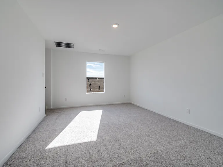 3145 Burmese St — Photo 14