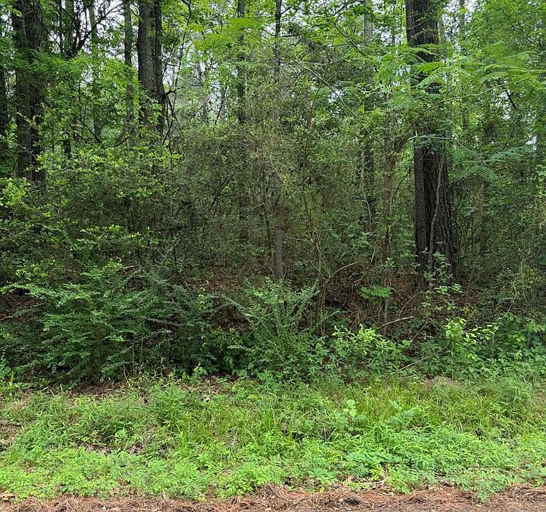 1st image of LOT 6 Old Gobblers Knob Rd