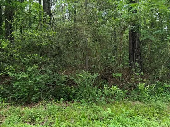 LOT 6 Old Gobblers Knob Rd, Lufkin, TX 75904