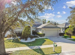 19156 Meadow Pine Dr, Tampa, FL 33647