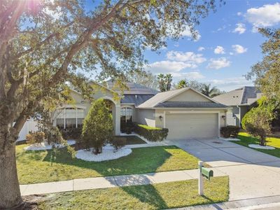 19156 Meadow Pine Dr, Tampa, FL, 33647