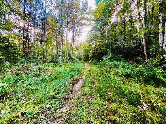 2nd image of 1885 Flea Mountain Rd