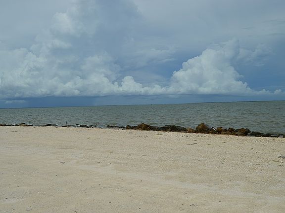 5th image of 1249 N Ocean Dr