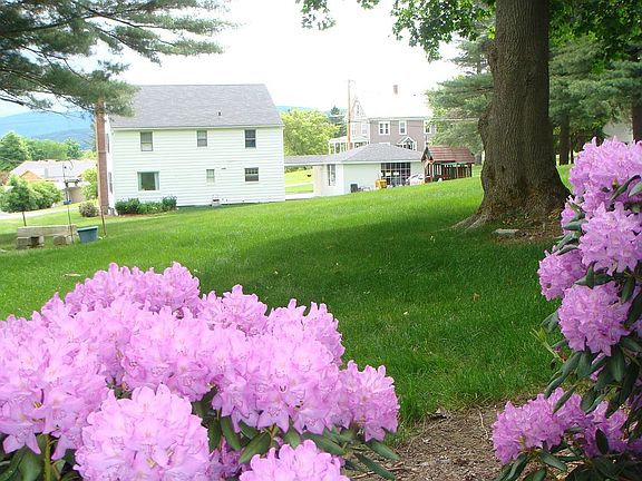 Large, lush back yard