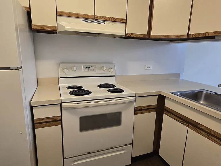 680 S Federal St #803 — Photo 3