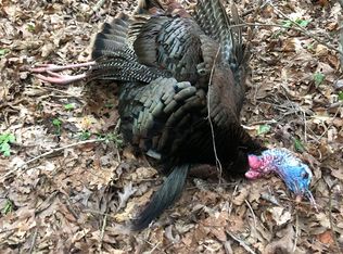 1684 Old Highway 51 NE, Brookhaven, MS 39601