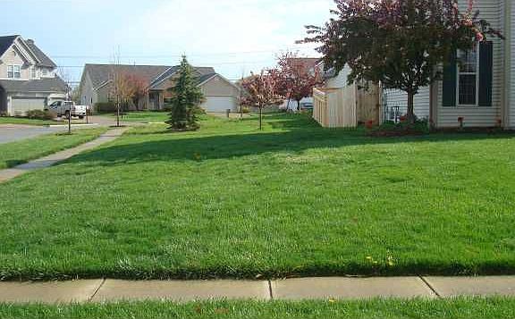 3rd image of 1273 Wild Horse Dr