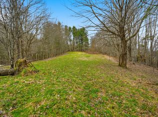 138 Birch Ln, Damascus, VA 24236