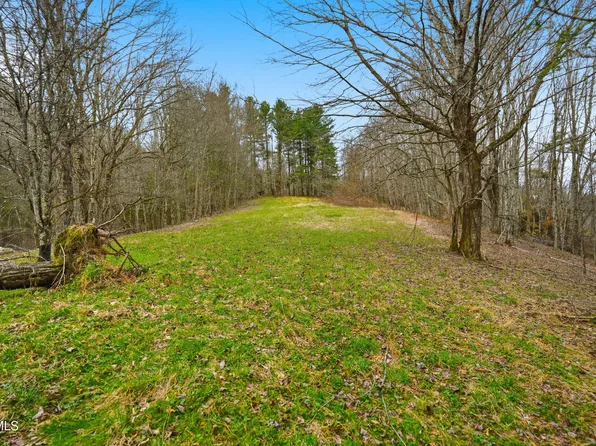 138 Birch Ln, Damascus, VA 24236