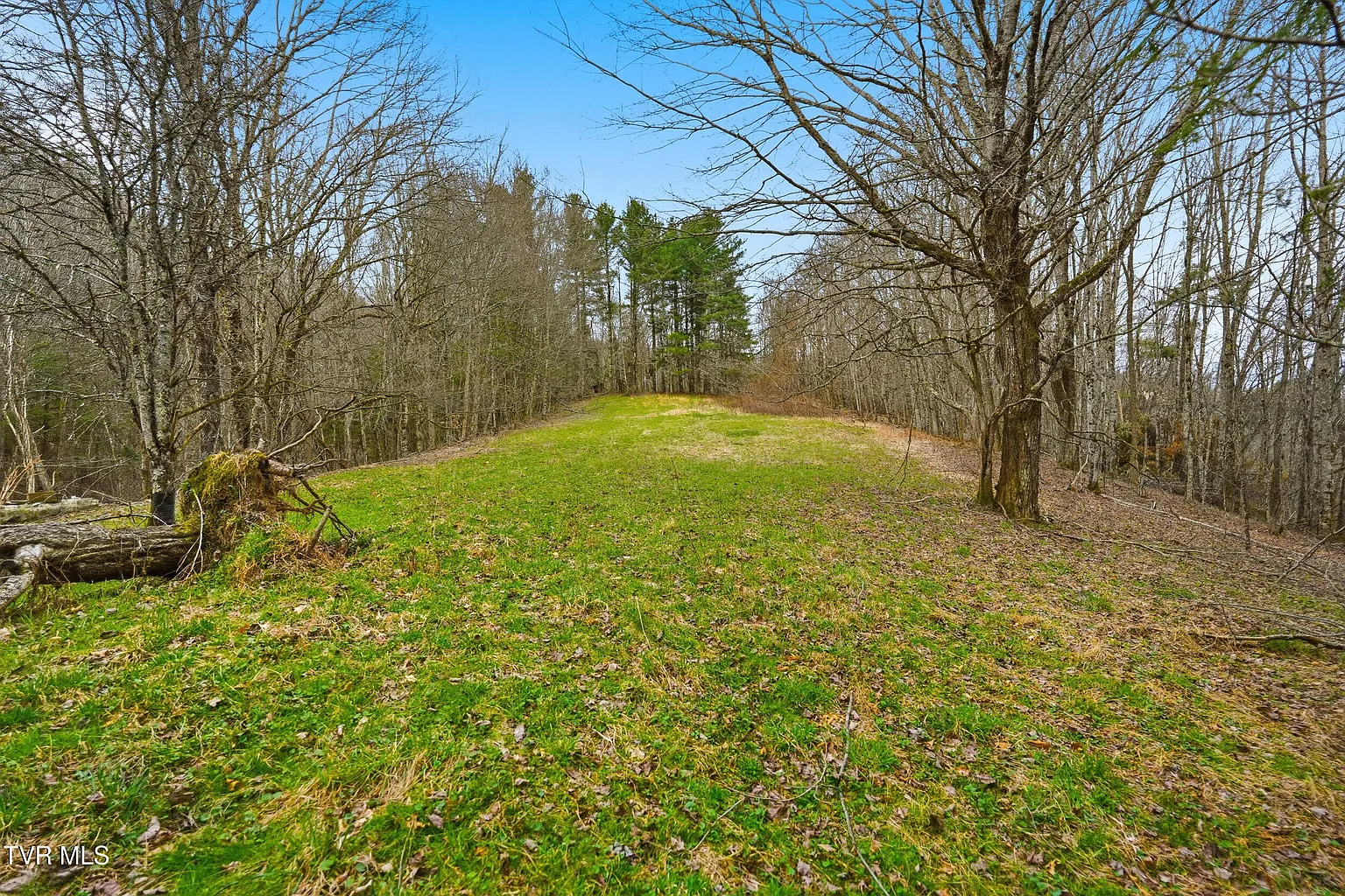 138 Birch Ln photo 1