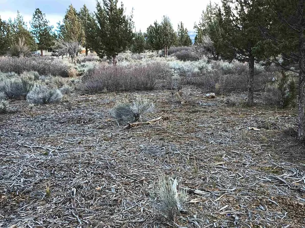 8-2/5-20530 Big Springs Rd, Weed, CA 96094