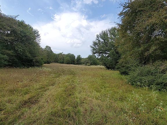 2nd image of 0 County Road 310