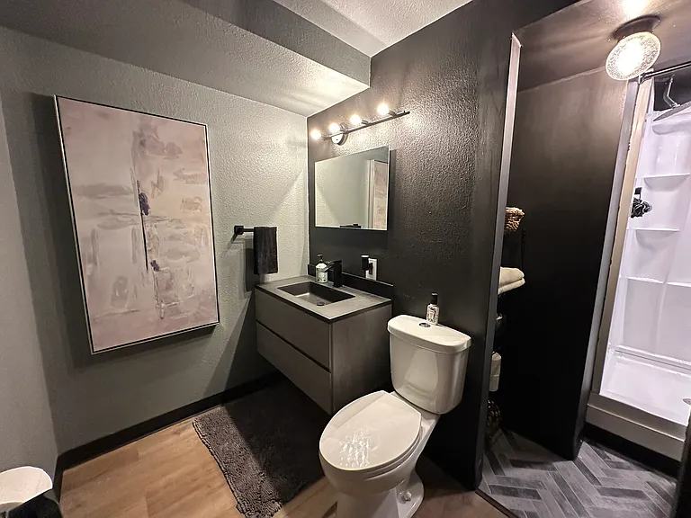 Downstairs bathroom directly off of guest room continues the modern color theme along with updated lighting, fixtures and walk in shower. Build in nook for towels and bathroom supplies.