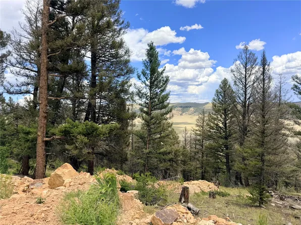 1396 Middle Fork, Fairplay, CO 80440