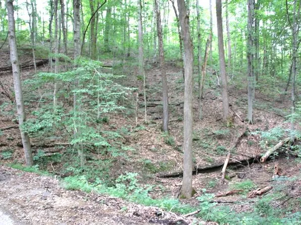 LOT 34 Navajo Trl, Lucas, KY 42156