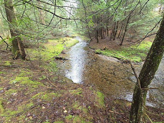 3rd image of 308 Tennent Rd