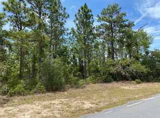 10598 N Spaulding Dr, Citrus Springs, FL 34433