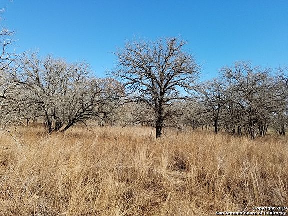5th image of 1859 Deer Trl