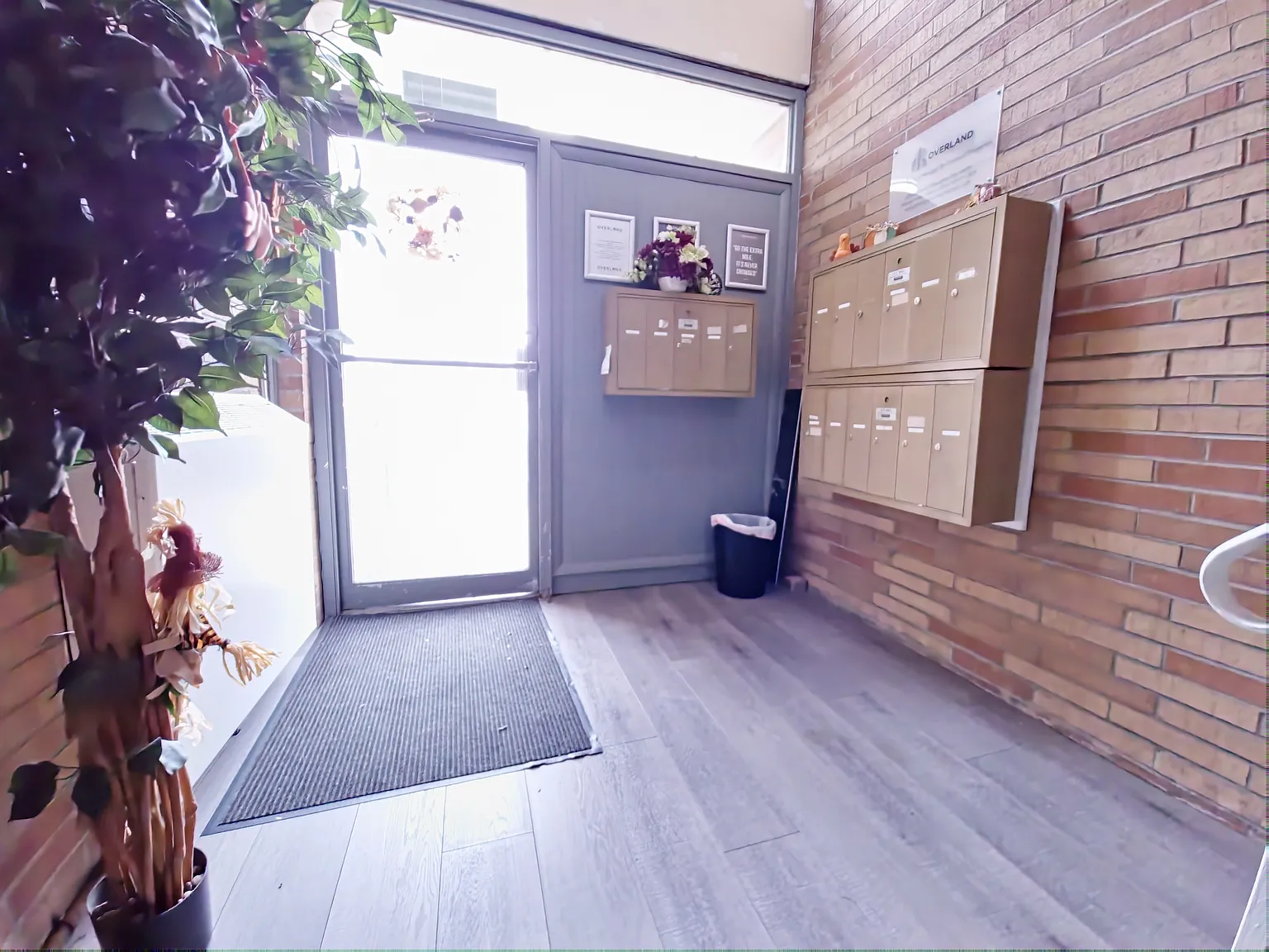 1 bed, 679 sqft, $1,100 — Photo 2