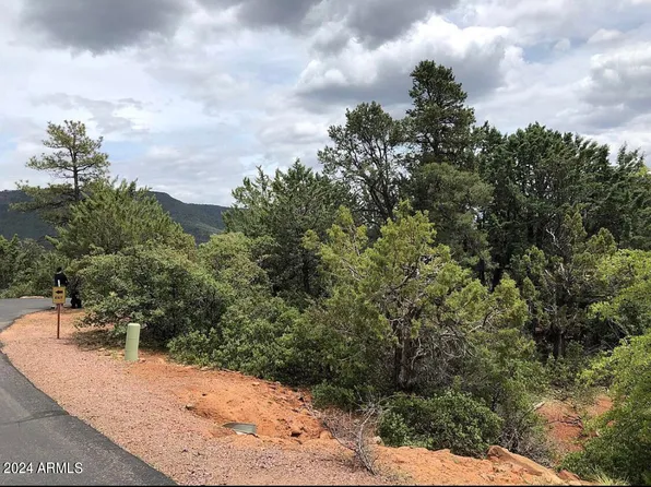 9 LODGEPOLE Circle #9, Pine, AZ 85544
