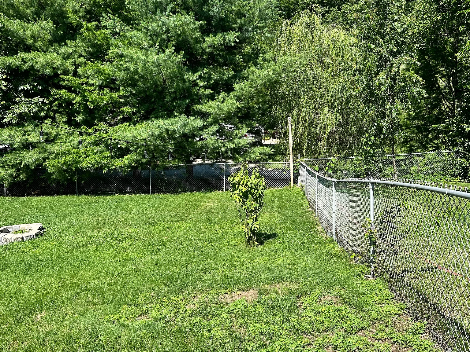 3 bed, 1040 sqft, $1,825 — Photo 4