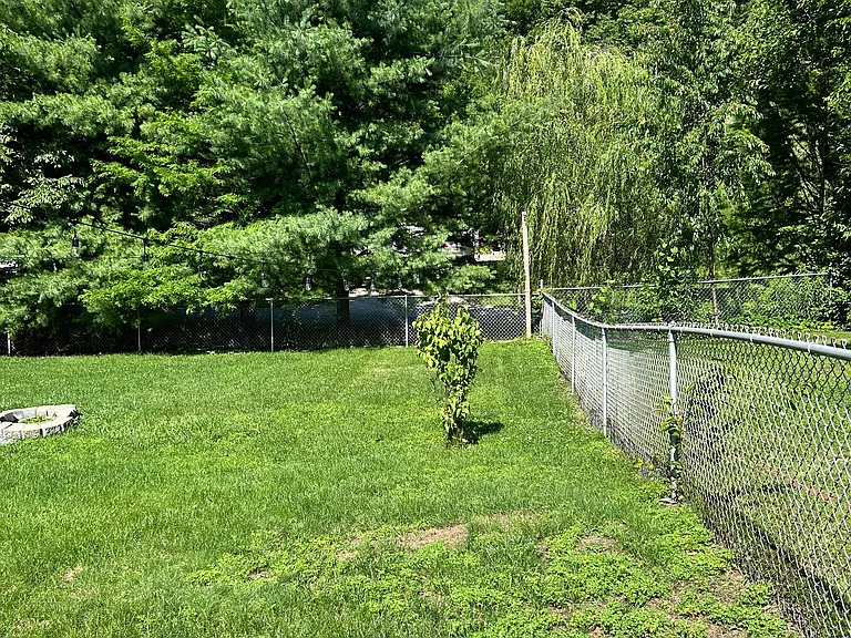 BACK SIDE YARD FENCE LINE