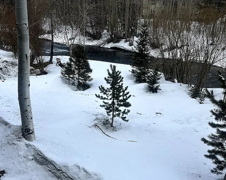 101 Forest Dr #M — Photo 11