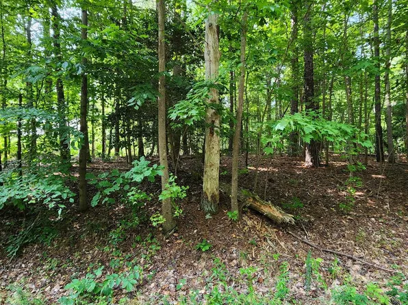 11 S Independence Dr, Montross, VA 22520