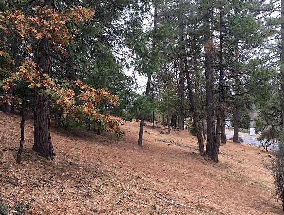3rd image of 297 Forest Meadows Dr