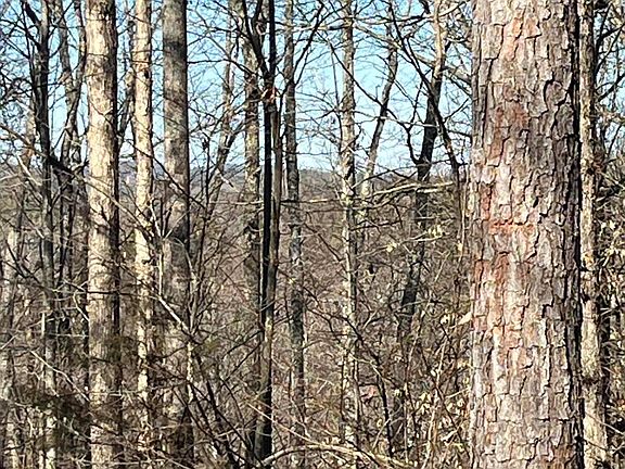 4th image of 343 County Road 758