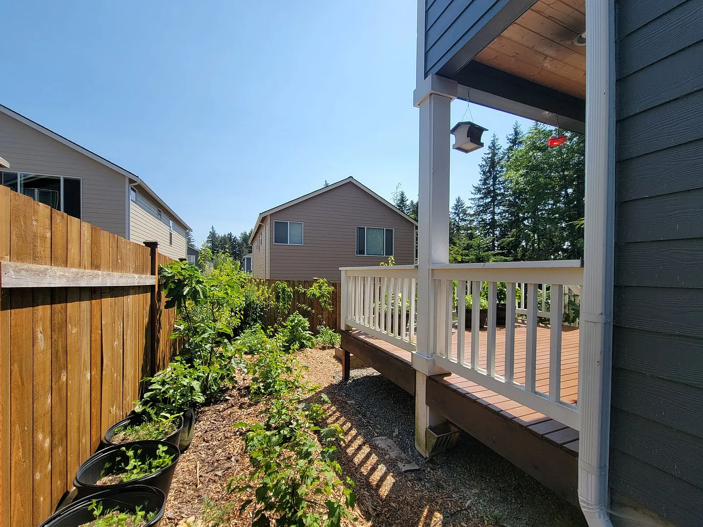 Beautiful 3 bed in CK school district — Photo 4