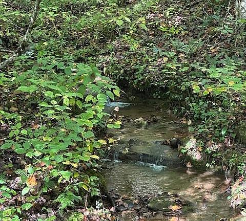 3rd image of H16-H17 Shady Grove Rd