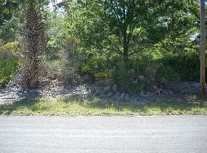 2nd image of 10234 N Marigold Ter